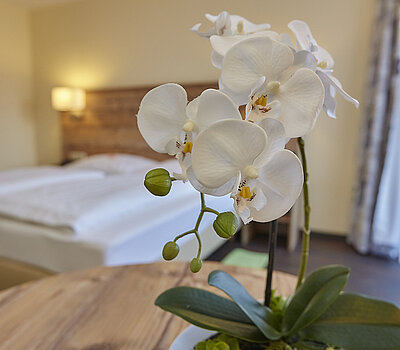 Das Standardzimmer ist ausgestattet mit einem Holzbett mit beiger Lehne. Rechts davon steht ein Holztisch in Beige, darüber hängt ein Flachbildfernseher. Das Zimmer hat Zugang zur Terrasse durch große Türen.